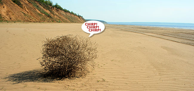 Membership Model: Launch Tumbleweed