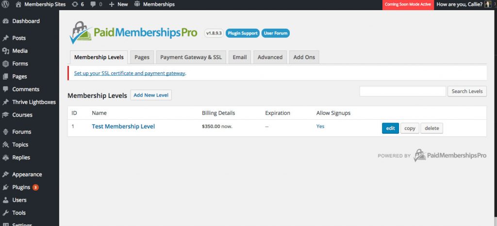 Paid Memberships Pro Review - Set Up